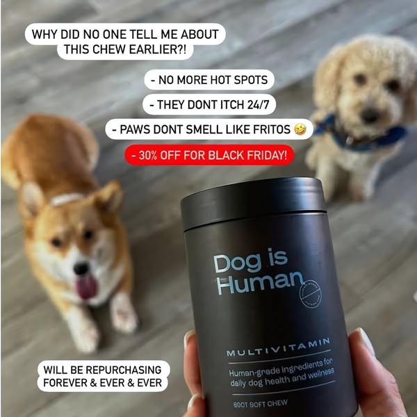A 1:1 format ad creative for a dog multivitamin that uses a relatable 'before-and-after' problem-aware hook to showcase product efficacy.